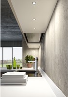 LEDLAMP INBOUW 12V LES CE rvs look *neutral*o40mm*3st-3