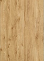 VINYLVLOER FAVORITO TILO CE 1205x210x9,8mm*Fix*( 6 stuks)