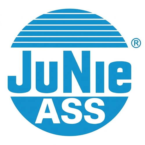 ESPAGNOLETSLOT OPBOUW JUNIE CE zamac*uitvoering zwaar*zonder stang*-3